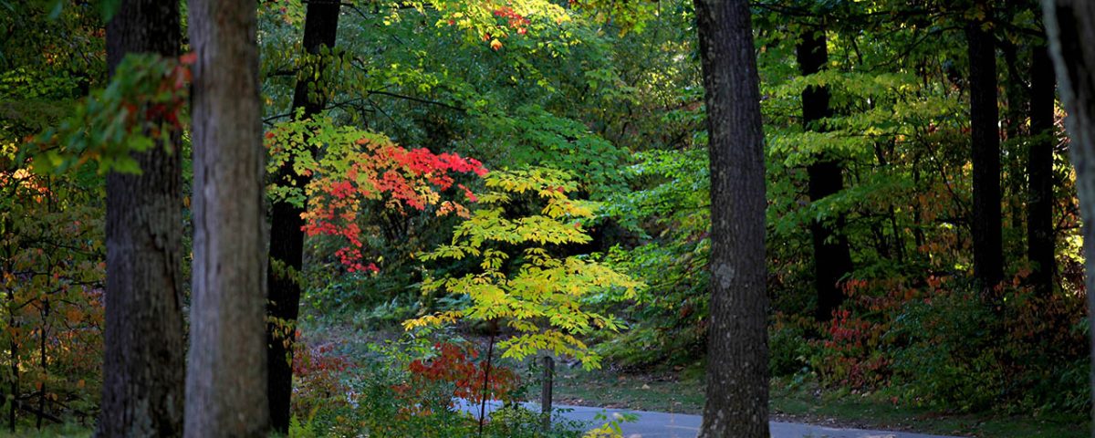 late summer camping at Beaver Springs Campground in the Ozarks