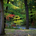 late summer camping at Beaver Springs Campground in the Ozarks