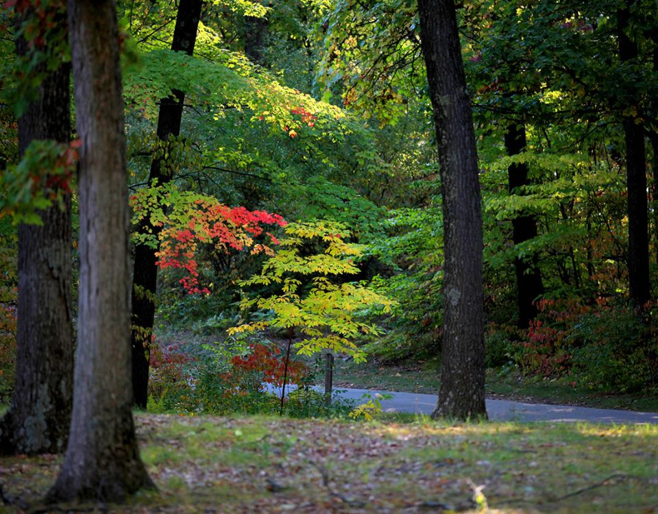 late summer camping at Beaver Springs Campground in the Ozarks